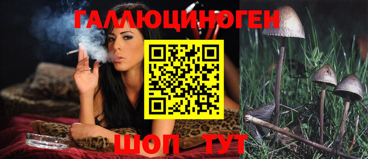Волгоград  Псилоцибиновые грибы Psilocybine cubensis  Псилоцибиновые грибы MAGIC MUSHROOMS  Вход с VPN 