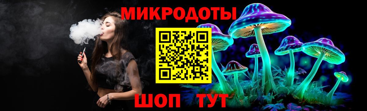 Галлюциногенные грибы Psilocybe Волгоград
